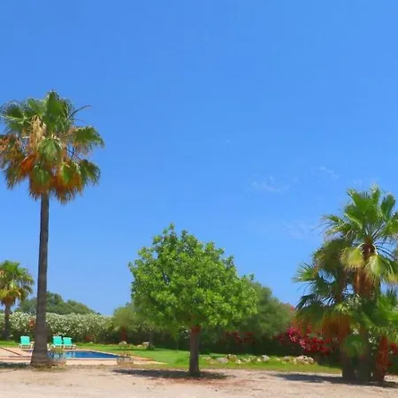 Sa Vinya Campos (Mallorca)